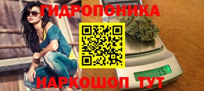 индика Будённовск