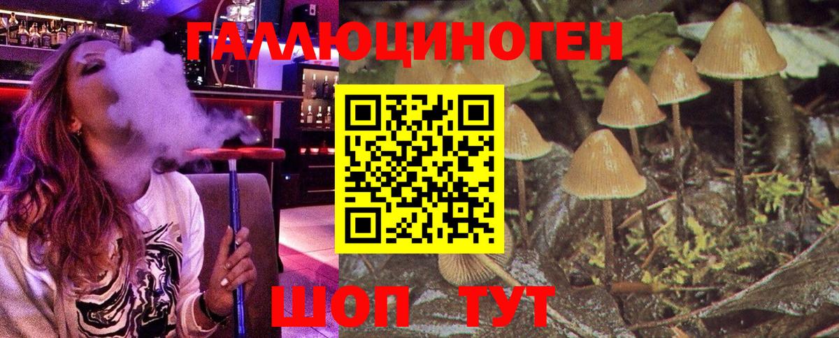 Волхов  Галлюциногенные грибы ЛСД  Галлюциногенные грибы Psilocybe  Вход с VPN 