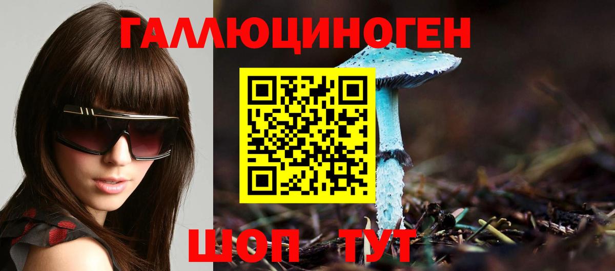Псилоцибиновые грибы GOLDEN TEACHER Волхов